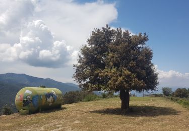 Tour Wandern Sorède - 577. 11km sorede roc des medes - Photo