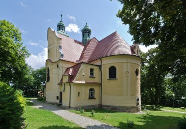 Tour Zu Fuß Szczytna - Leśny Szlak Wspinaczkowy - Photo