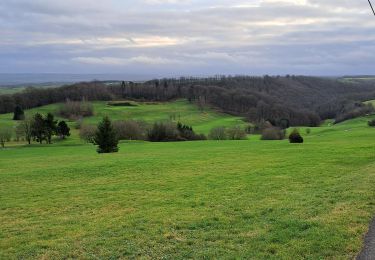 Randonnée Marche Havelange - Méan-Somal-Le Maka - Photo