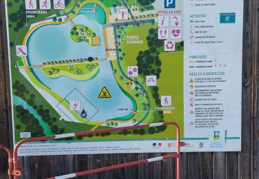 Trail Electric bike Draguignan - 20220107 - Photo