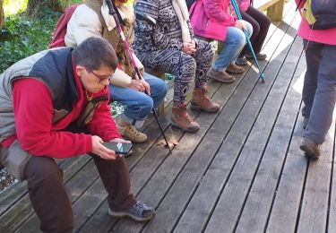 Tour Wandern Billère - bille golf RS fait - Photo