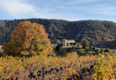 Tour Wandern Flaviac - Flaviac Serre de l'Eglise 15km - Photo