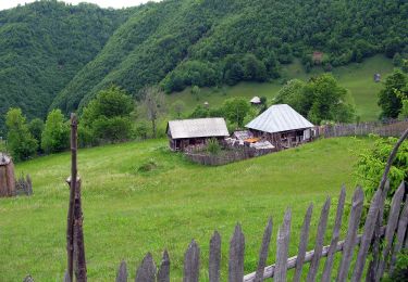 Randonnée A pied Vișeu de Sus - RO-Viseu - Poienile de sub munte - Photo