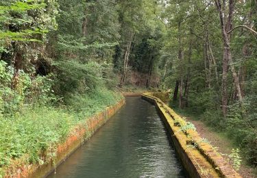 Trail Walking Saint-Girons - St girons la cascade d Aubert  - Photo