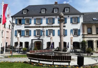 Tour Zu Fuß Bischofsgrüner Forst - Naturlehrpfad 