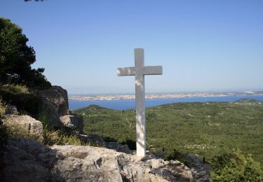 Tour Zu Fuß  - Preko - Sv. Mihovil - Željina vela - Photo