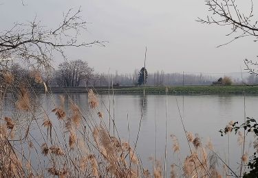 Tour Wandern La Voulte-sur-Rhône - La Voulte Via-Rhôna 7KM - Photo