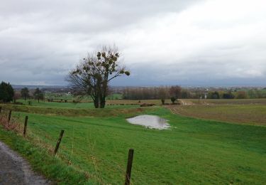 Tour Wandern Bleiberg - boucle Henri Chapelle bois de Hees - Photo