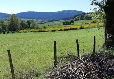 Trail Walking Saint-Genès-Champanelle - AUTOUR DE LACHAMPS - Photo