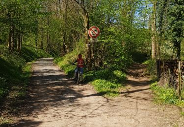 Trail Mountain bike Mutzig - parcours test VTTAE Mutzig  - Photo