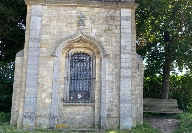 Randonnée Marche Gembloux - Corroy le chateau. Bossiere - Photo