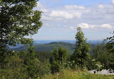 Tour Zu Fuß Gemeinde Moorbad Harbach - Nordwaldkammweg Verbindungsweg V14 - Photo