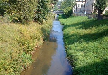 Tour Zu Fuß Pegnitz - Rundwanderweg Eichblattweg - Photo