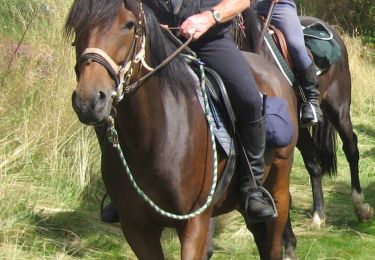 Trail Horseback riding Saint-Jacques-d'Ambur - ST JACQUES / CHAPDES BEAUF. / ST JACQUES - Photo