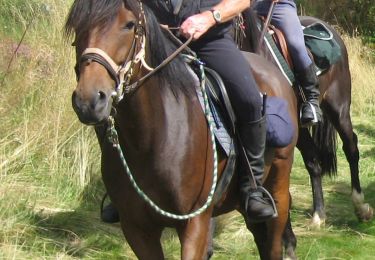 Tour Reiten Saint-Jacques-d'Ambur - ST JACQUES / CHAPDES BEAUF. / ST JACQUES - Photo