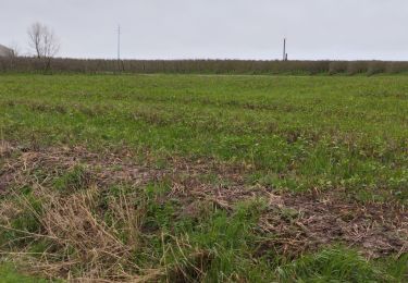 Trail Walking West-Cappel - west cappel - Photo