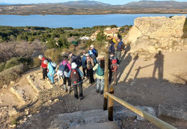 Tour Wandern Leucate - Leucate - Photo