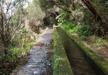 Trail Walking Calheta - 2025-03-29 rando 25 fontes et cascade du risco - Photo
