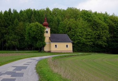 Tour Zu Fuß Gemeinde Jaidhof - 41 - Photo