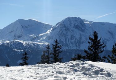 Tocht Sneeuwschoenen Vaulnaveys-le-Haut - Croix-de Chamrousse-2021-02-17 - Photo