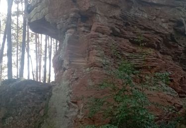 Trail Walking Bundenthal - baerensteig bruchweiler baerenbach - Photo
