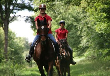 Tocht Paardrijden Chimay - 11574403-GT équestre Presgaux - Couvin - Ravel - Photo