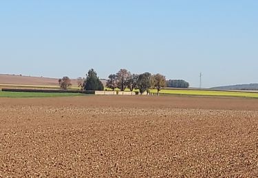 Trail Road bike Paron - 121 E75 Foissy sur Vanne-01 - Photo