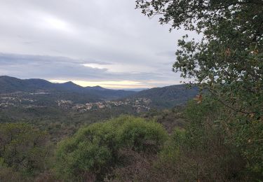 Excursión Senderismo Montauroux - Le lac de Saint Cassien et la réserve biologique de Fondurane - Photo