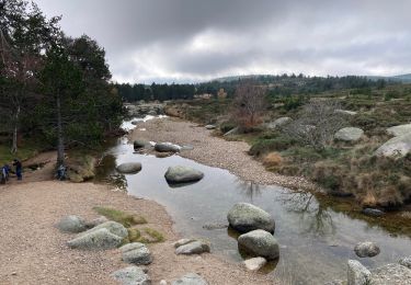 Tour Wandern Vialas - Pont du Tarn  - Photo