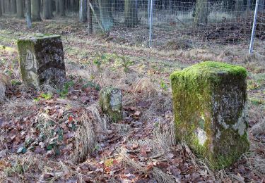 Tocht Te voet Schönau-Berzdorf auf dem Eigen - OL-Gelber Strich - Schönau-Berzdorf - Photo