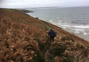 Trail Walking Plonévez-Porzay - 2019-10-31 FINISTERE GR34 AUTOUR DE TREFEUNTEC - Photo