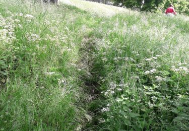 Tour Wandern Petit-Couronne - Petit-Couronne 5km 08-05-2020 - Photo