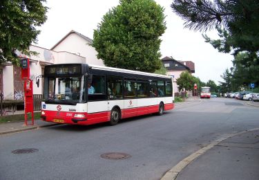 Tour Zu Fuß  - [M] Klánovice-Uhříněves - Photo