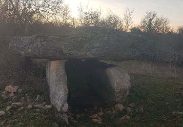 Tour Wandern Lentillac-du-Causse - Du Causse à la Sagne - Photo