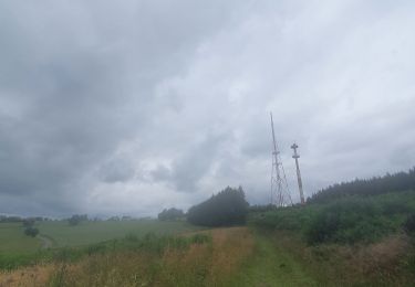 Tocht Stappen Martelange - rando vlessart 27-06-2022 - Photo