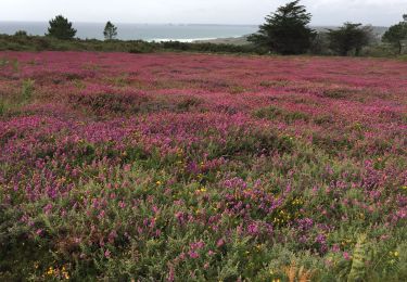 Tour Wandern Crozon - Kerdreux  - Photo