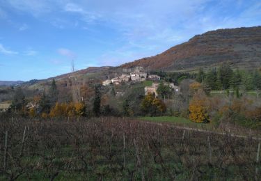 Trail Walking Aubignas - Aubignas - Photo