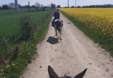 Tocht Paardrijden Trémouilles - Rando 2 Ranch du Lévézou - Banes - Camboulas - Jos - Sarlit - Photo