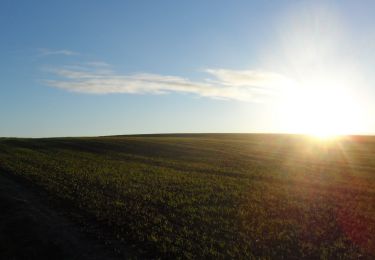 Tour Wandern Boos - 20211123-Boos - Photo