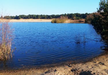 Tocht Stappen Lommel - Sahara de lommel - Photo