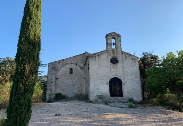 Trail Walking Vaugines - Luberon Vaugines Cucuron  - Photo