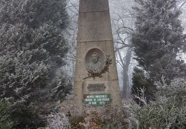 Tour Wandern Barr - Barr - Mont St Odile - château du Landsberg - Photo