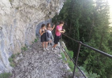 Trail Walking Doussard - ailrs - Photo