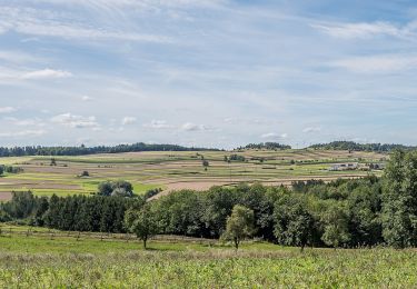 Tour Zu Fuß Gemeinde St. Leonhard am Hornerwald - 61 - Photo