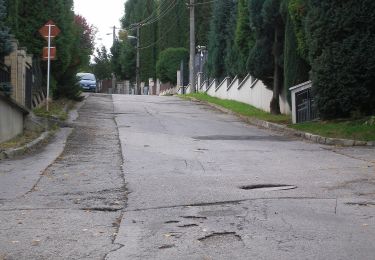 Excursión A pie okres Trenčín - Náučný chodník Klepáč - Photo