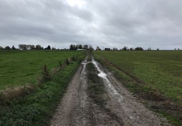 Tocht Stappen Quévy - Givry 17,5 km - Photo