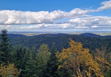 Tour Wandern Dagsburg - Dabo  - Photo