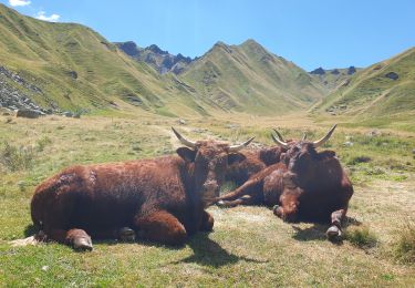 Tour Wandern Mont-Dore - La montée au Puy de Sancy par Mont Dore - Photo