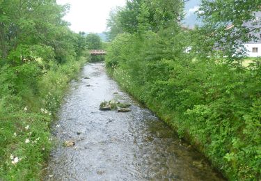 Tocht Te voet Siegsdorf - SalzAlpenWeg - Traunstein - Zwing - Photo