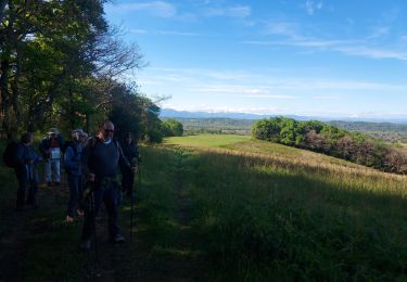 Trail Walking Poey-de-Lescar - poey de Lescar G4 - Photo